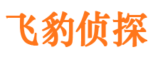 罗田侦探调查公司